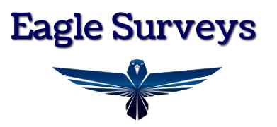 Eagle Surveys